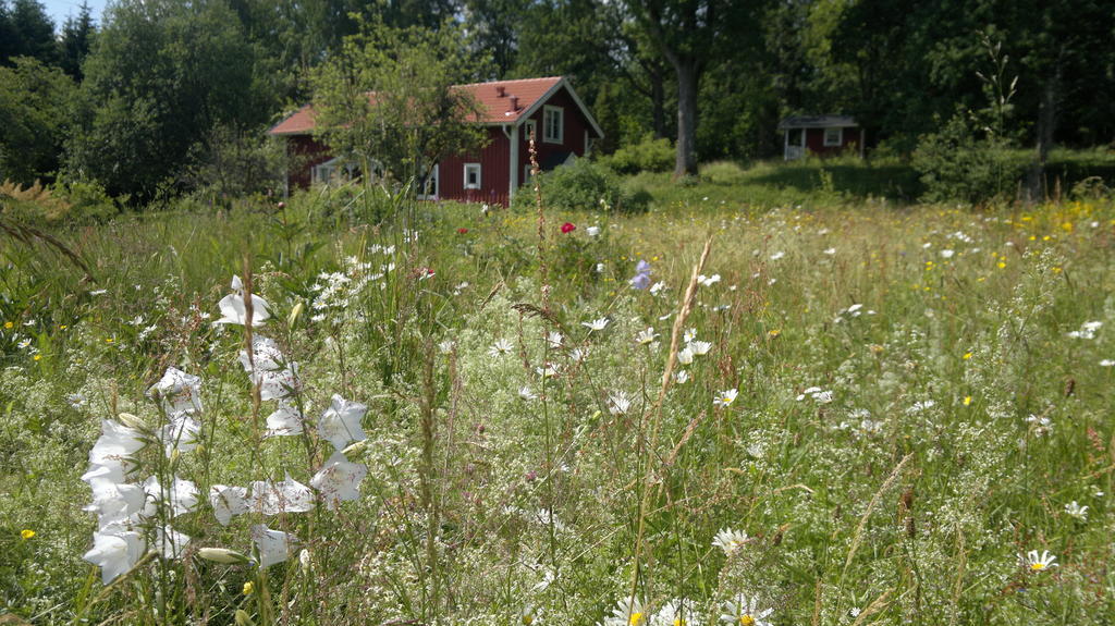 Kylas Vildmark Skillingaryd Exterior foto